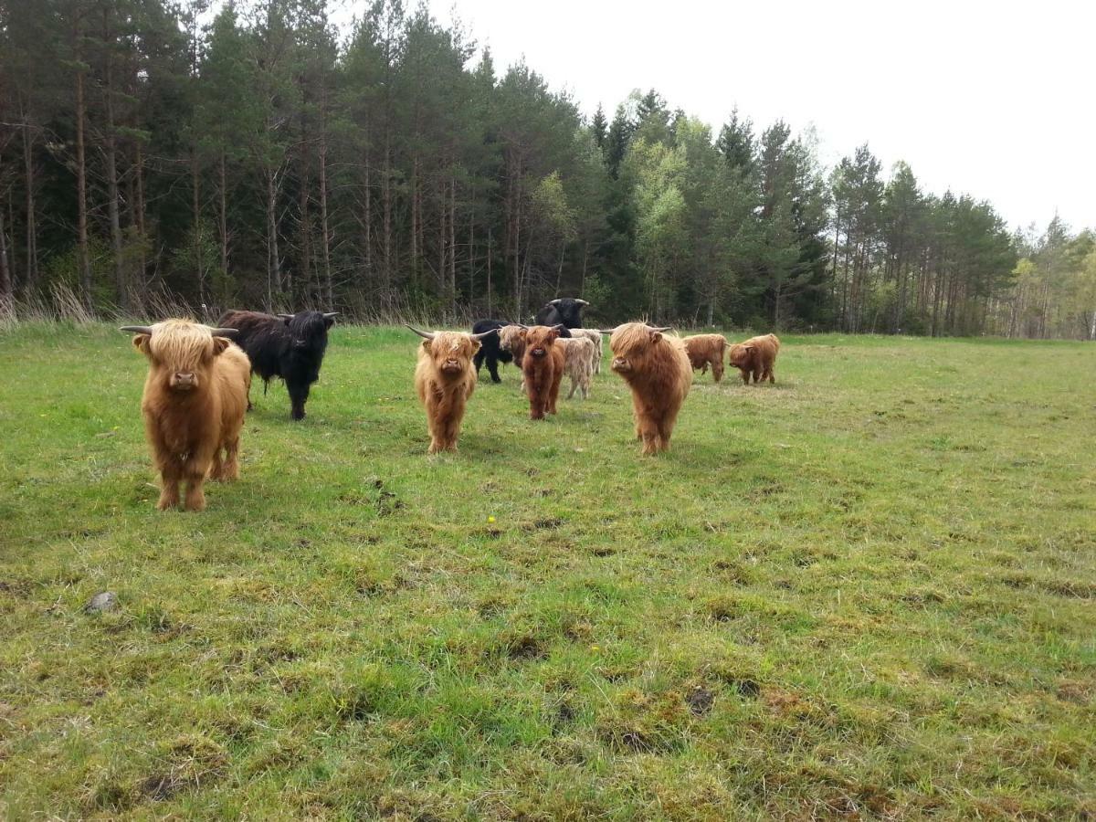 Ranna Villa Farm Kudema Exteriér fotografie