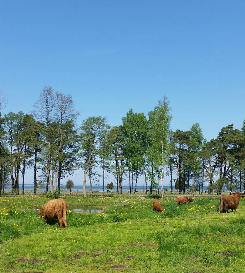 Ranna Villa Farm Kudema Exteriér fotografie